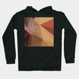 Antique Brass Brown Abstract Low Polygon Background Hoodie